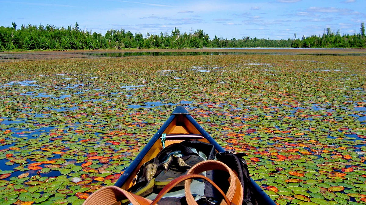 Republicans Vote To Destroy Boundary Waters In Giveaway To China’s AI