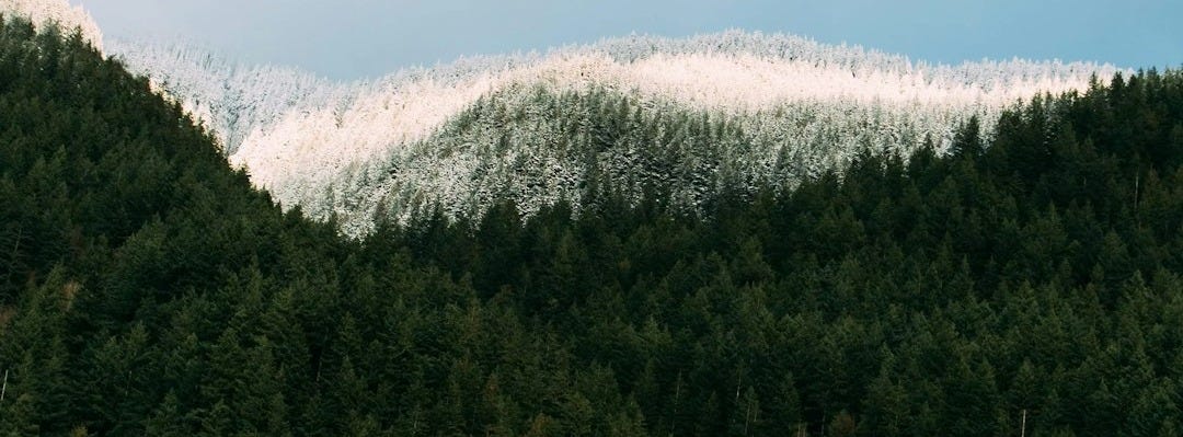 green trees on mountain under blue sky during daytime green trees on mountain under blue sky during daytime