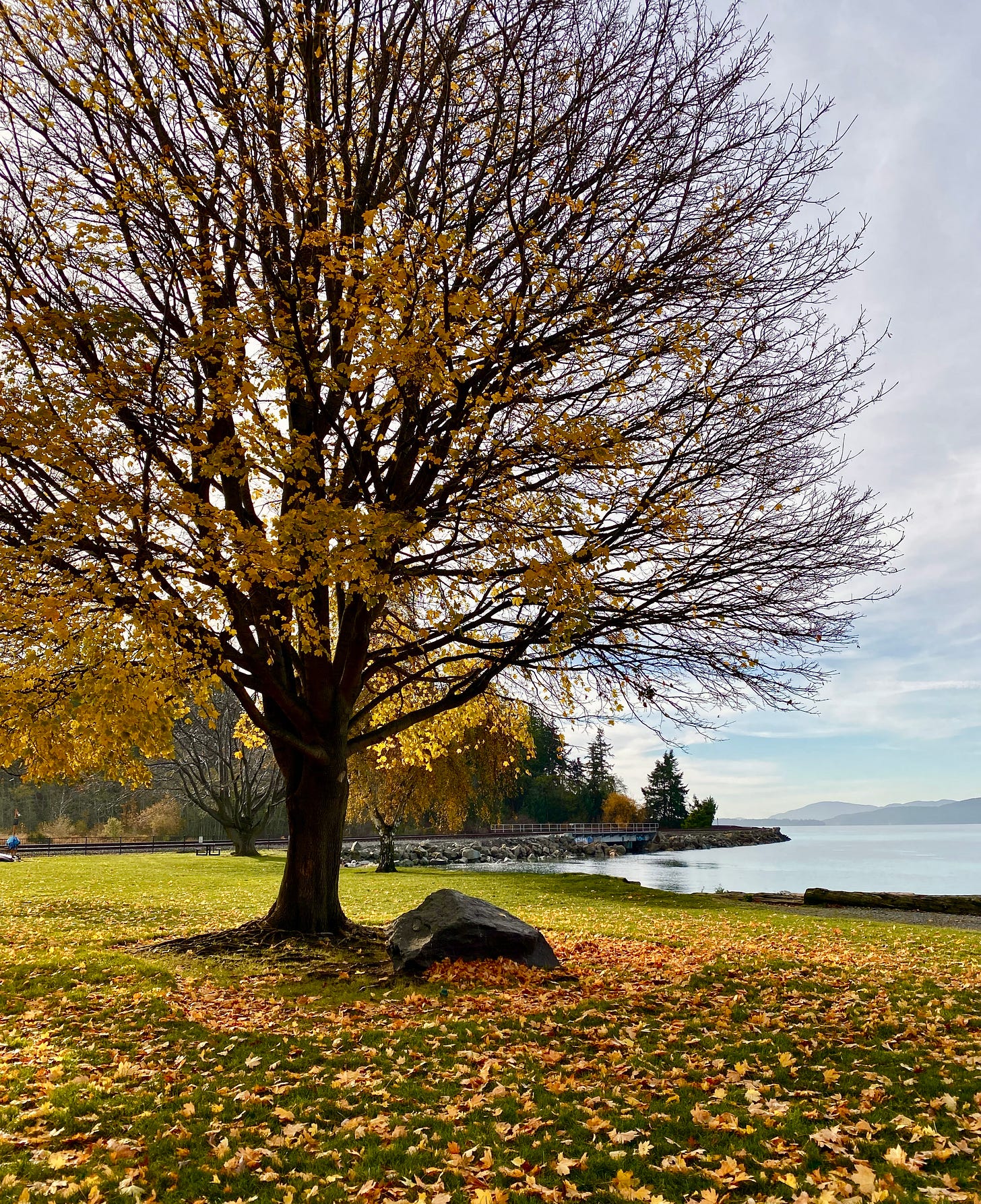 Marine Park, Bellingham, WA. Photo by JPC.