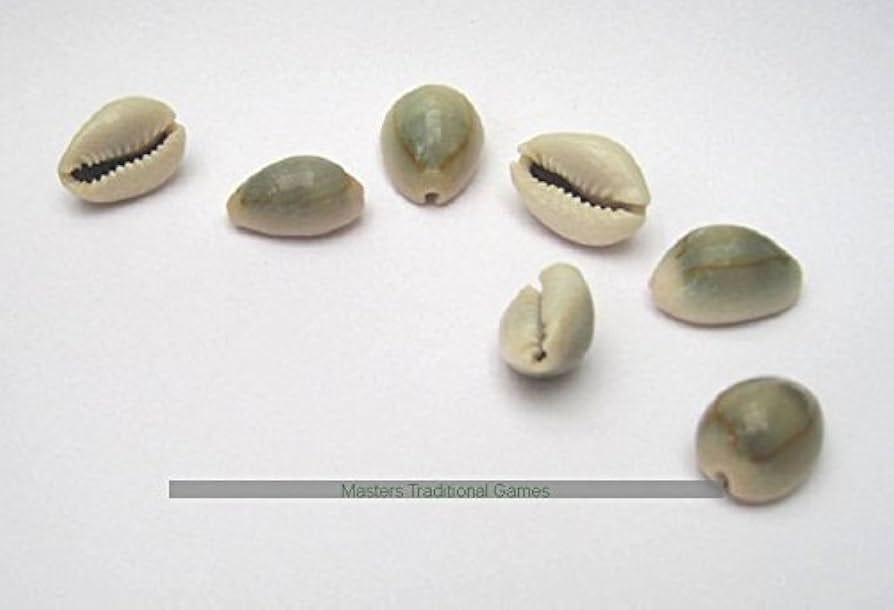 Masters Traditional Games Set of 7 cowrie shell (for use as binary dice) :  Amazon.co.uk: Toys & Games