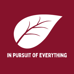 in pursuit of everything