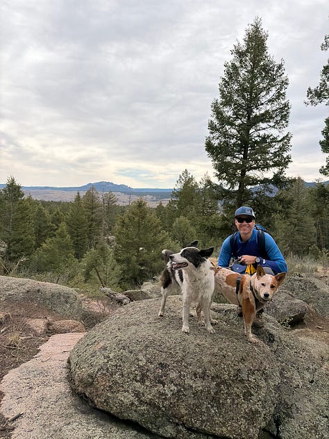 two cattle dogs hiking on a trail with many boulders