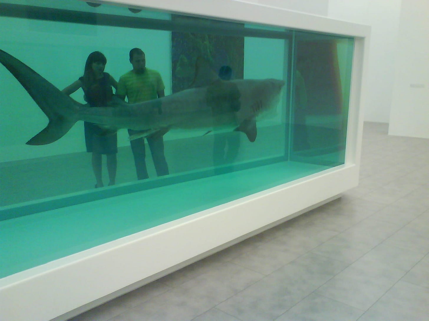 Damien Hirst, Death Denied, 2008. A later shark tank. PinchukArtCentre, Kyiv. Damien Hirst, Death Denied, 2008. A later shark tank. PinchukArtCentre, Kyiv.