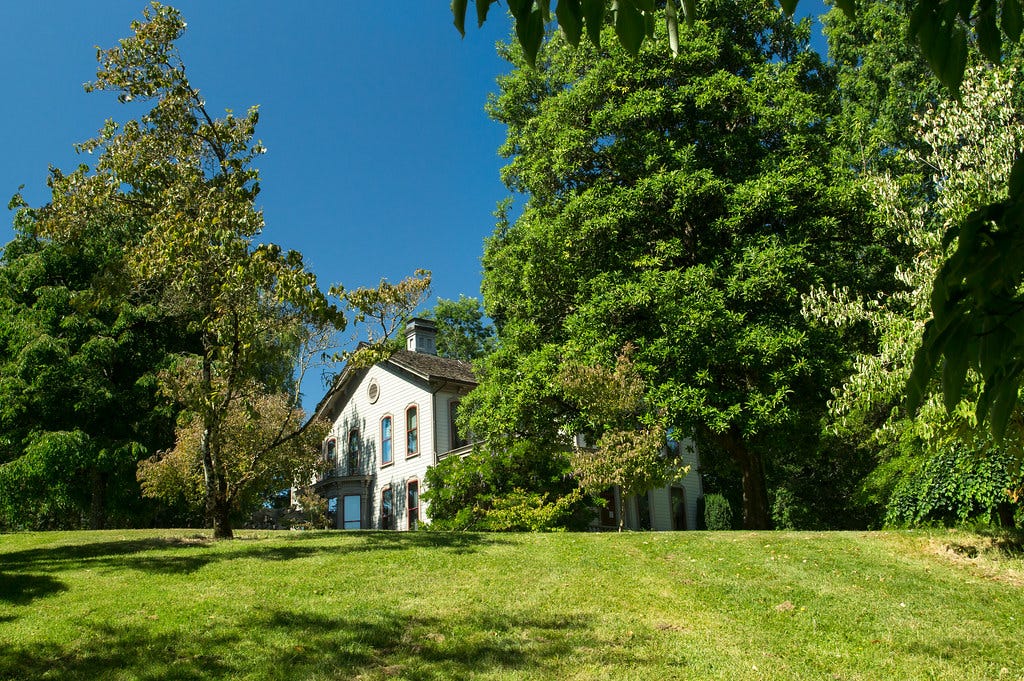 Summer morning at Bush House.jpg