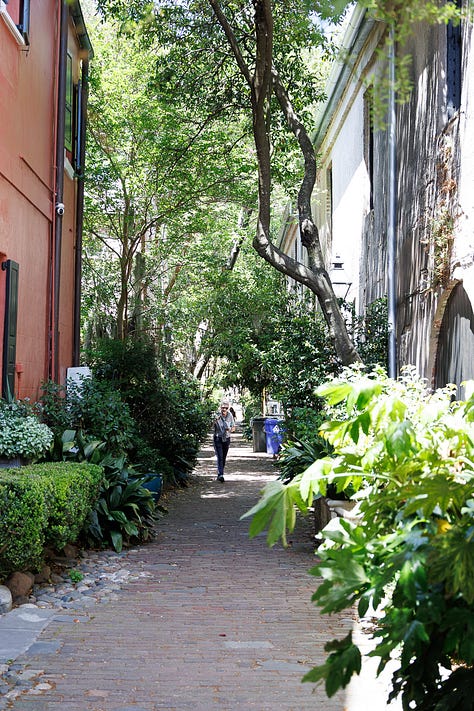 Shots of Charleston during Photowalk by David Rosen