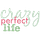 Crazy Perfect Life with Dara Kurtz