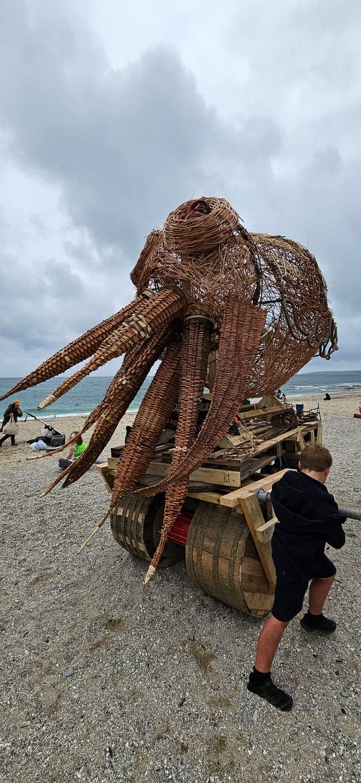 Ocean Buffer Project at Festival for the Ocean, Gyllyngvase Beach, Falmouth, showing plankton