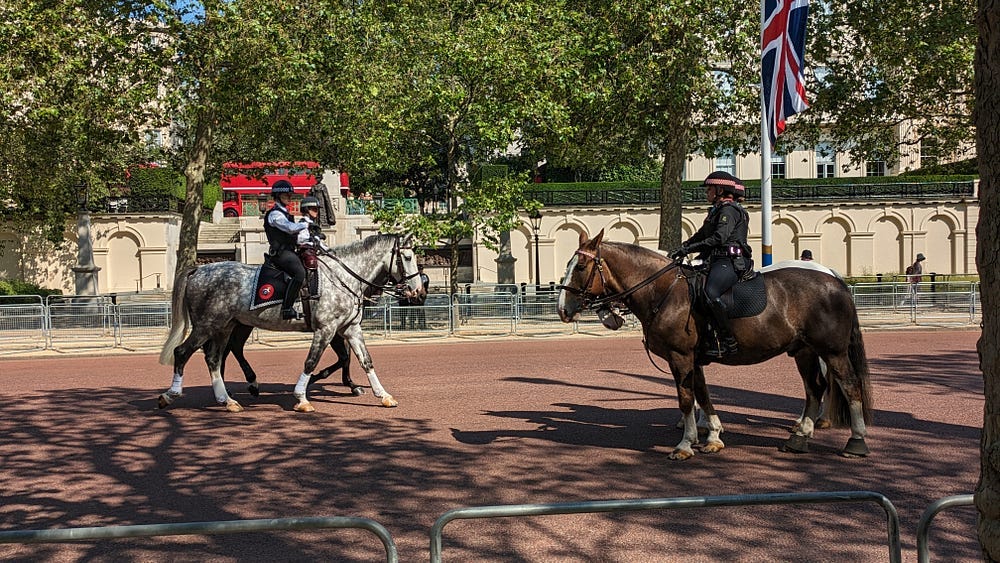 Two dappled grey horses with their police riders trotting to the right and two brown horses with their police riders trotting to the left about to pass each other. Two dappled grey horses with their police riders trotting to the right and two brown horses with their police riders trotting to the left about to pass each other.