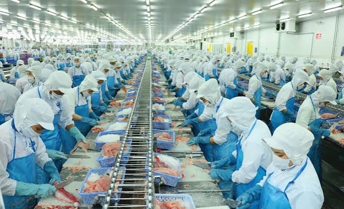 Giá vốn cao và áp lực chi phí "ăn mòn" lợi nhuận của Vĩnh Hoàn