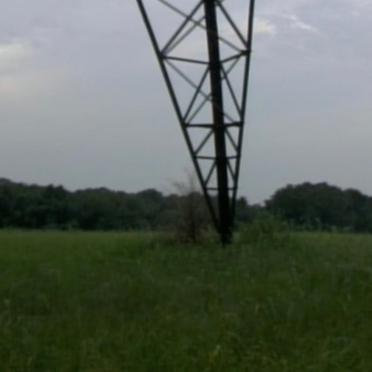 Some Things From Around Here