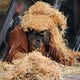 Quirky Animal Facts