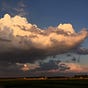 Western Sunset's avatar