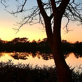 Quiet Acts of Healing