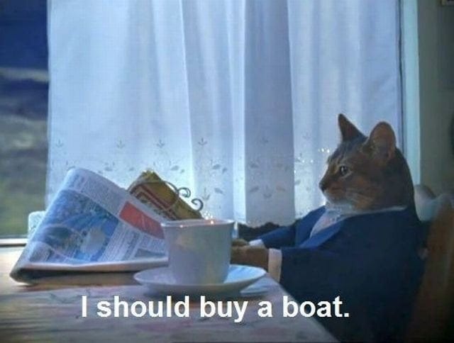 The cat from I should buy a boat (meme circa reddit 2012 ...