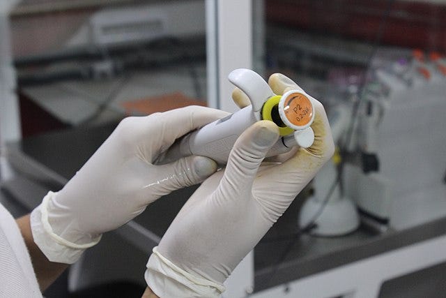 A pair of gloved hands holding a micropipette and twisting it to adjust it. A pair of gloved hands holding a micropipette and twisting it to adjust it.