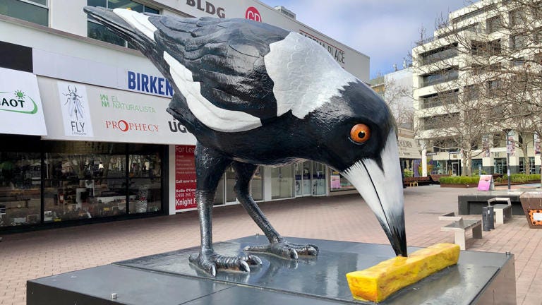 Big Swoop may be new to Australia's big things list but it's already been minted in gold. (ABC News: Nick Haggarty) Big Swoop may be new to Australia's big things list but it's already been minted in gold. (ABC News: Nick Haggarty)