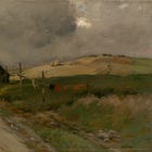 My Son’s Cross Country Race