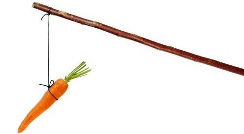 This may contain: a carrot being held by a stick with a string attached to it and another piece of wood sticking out of the ground