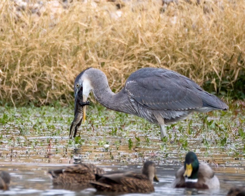 20241116-ElRio-247-Edit.jpg
