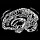 The Lovely Brains Newsletter