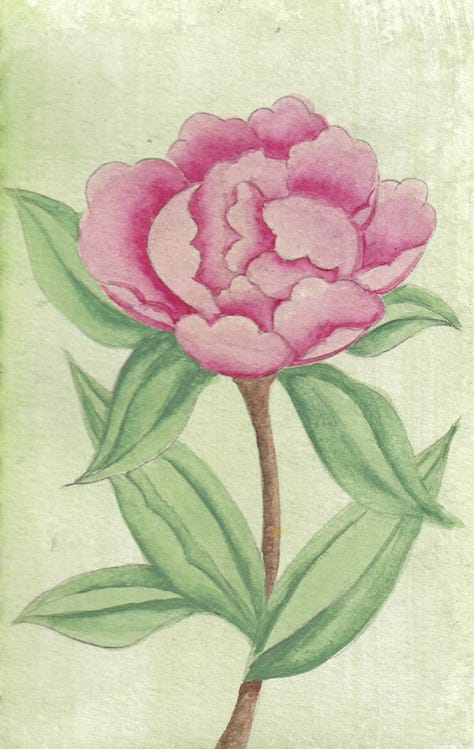 Peony Study by Lily Pond
