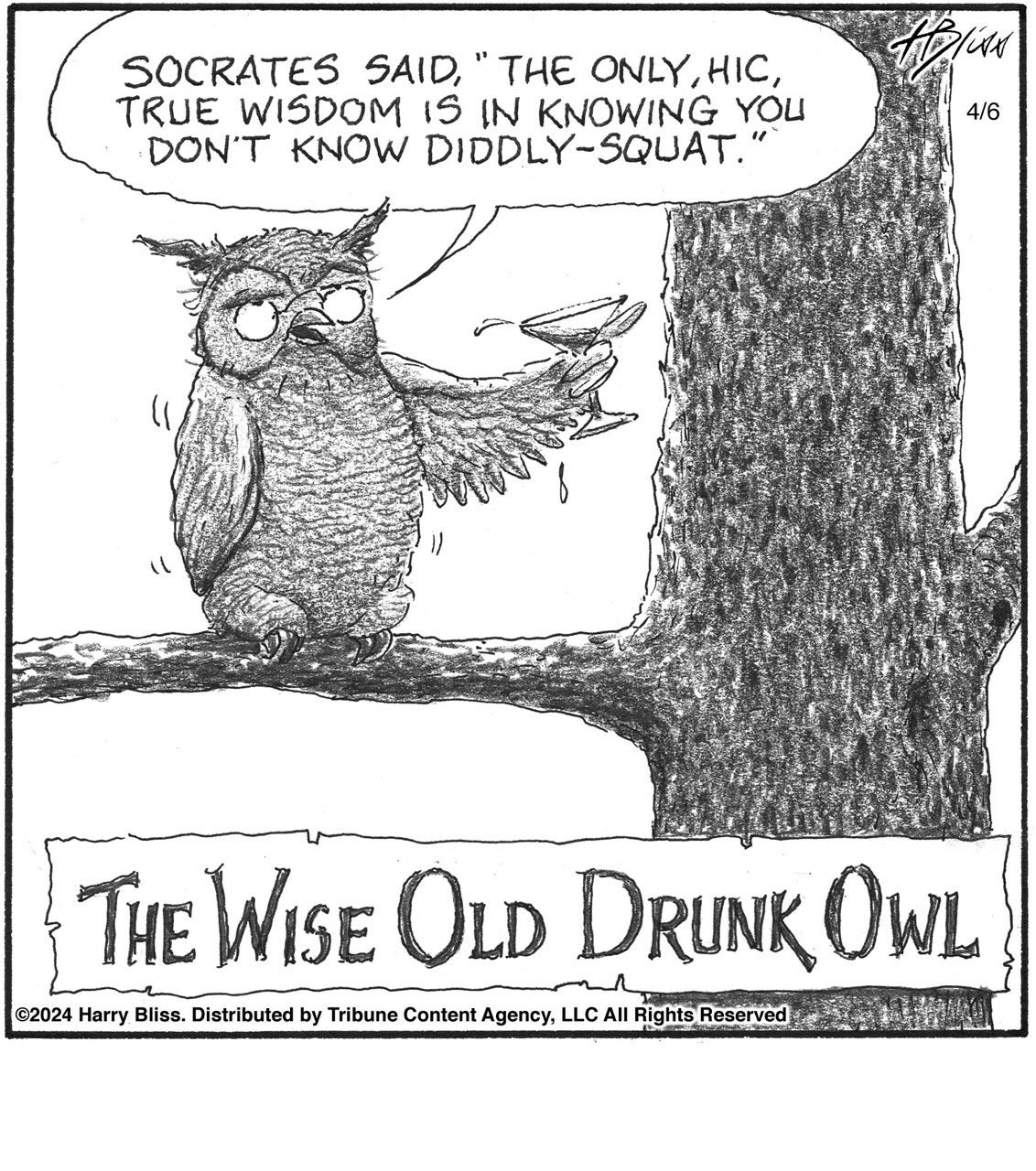 The wise old drunk owl…