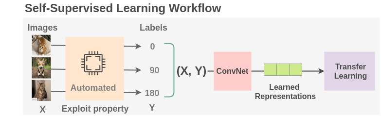 The Illustrated Self-Supervised Learning