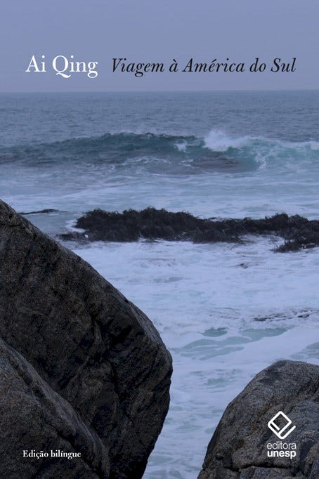 Viagem à América do Sul - Fundação Editora Unesp