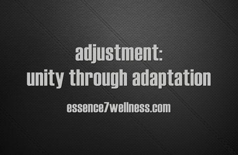 adjustment 3