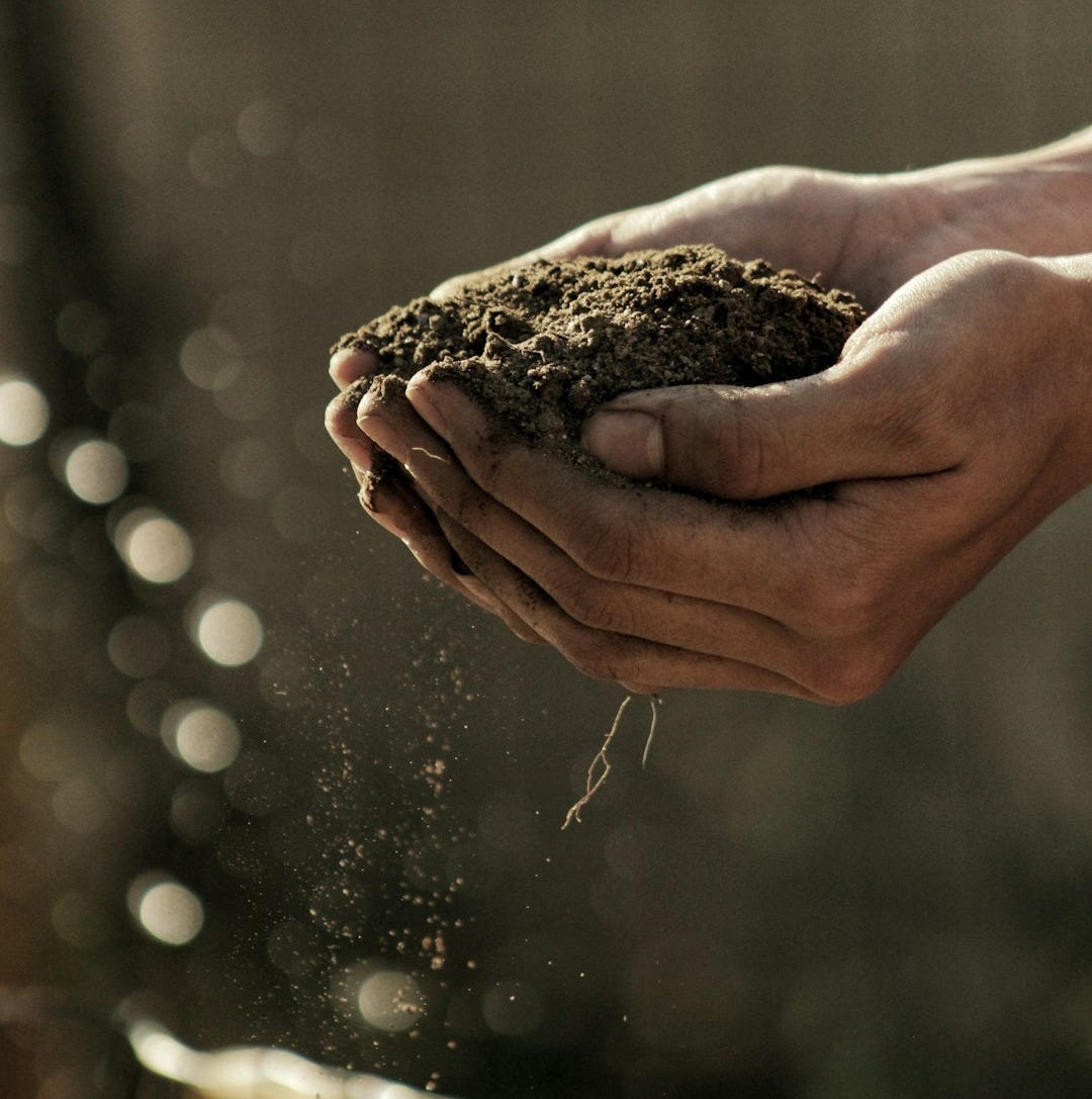 bokeh photography of person carrying soil