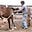 Bronc Buster Self-Healing's avatar