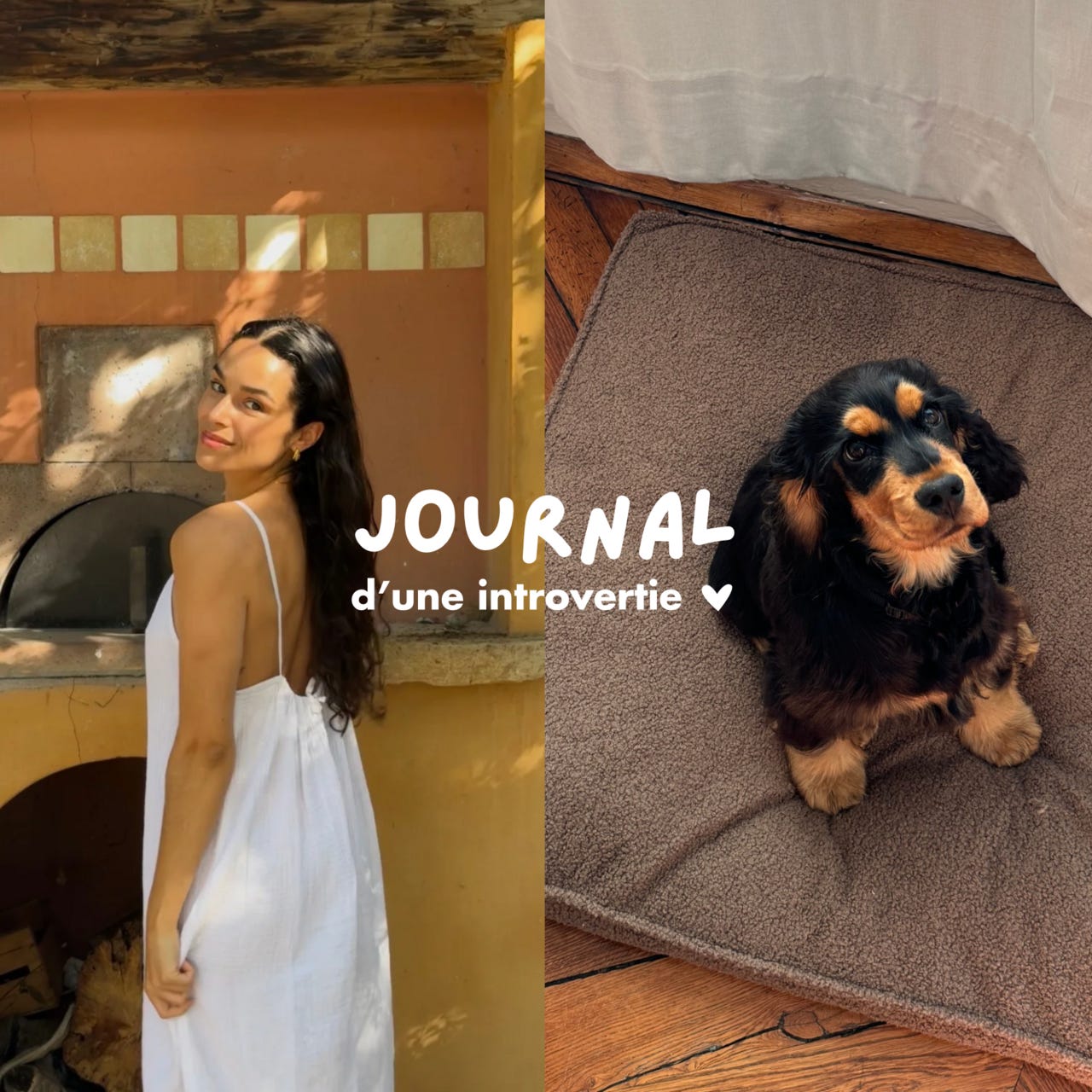 Journal d'une introvertie.