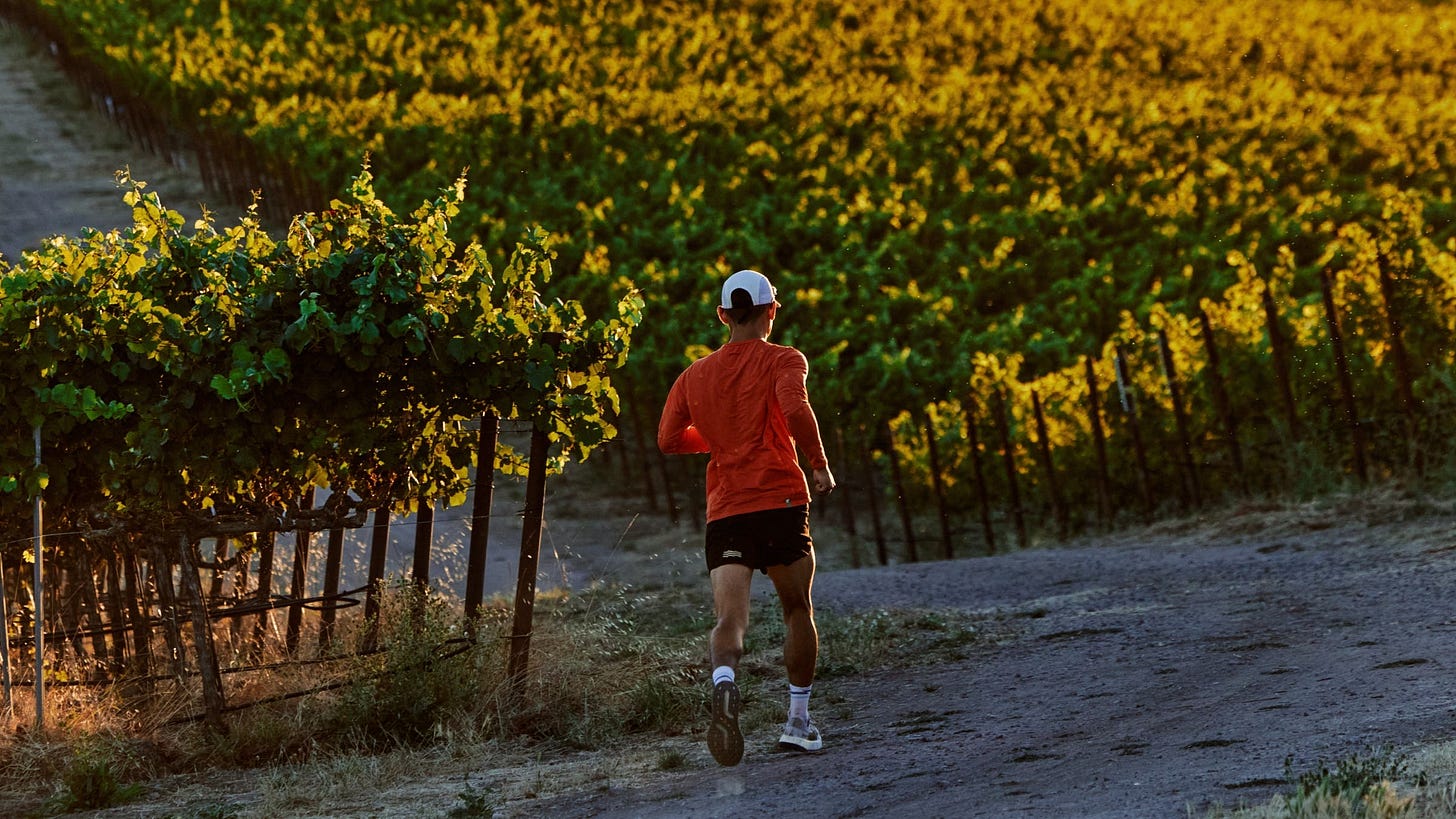 A man runs through a hilly vineyard at sunset. A man runs through a hilly vineyard at sunset.