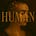 The Human Playbook's avatar