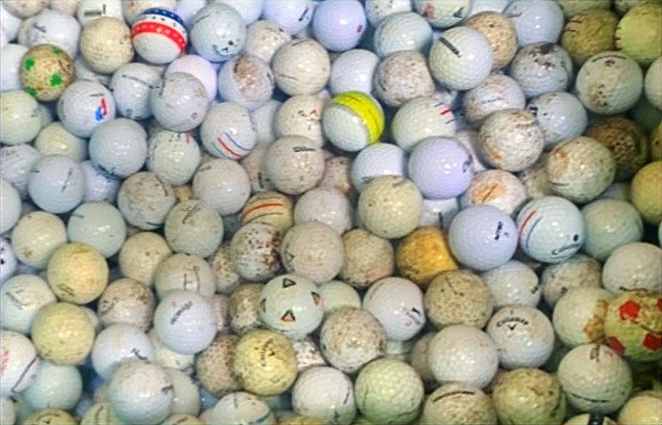 One Parrot Cove family's collection of golf balls retrieved from their yard near the Lake Worth Beach golf course. (JOE CAPOZZI)