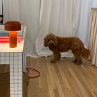 B-day existentialism, visiting Bomi NYC