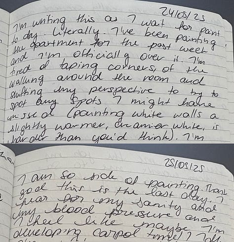 Girl in painting coveralls, journal entries