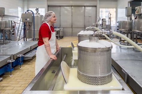 Eine Bildergalerie aus der Versuchskäserei von Agroscope zeigt verschiedene Schritte der Käseherstellung: Mitarbeitende in weissen Kitteln und Hauben im Gespräch, das Einfüllen von Flüssigkeiten in grosse Edelstahltanks, das Bearbeiten der Milch mit Käseharfen, das Prüfen der Bruchmasse von Hand sowie das Abfüllen der Käsemasse in Formen. Weitere Fotos zeigen Käselaibe in Regalen und eine Mitarbeiterin, die Produktionsdaten auf einem Blatt Papier kontrolliert. Die Galerie vermittelt einen umfassenden Einblick in den handwerklichen und wissenschaftlichen Prozess der Käseherstellung.