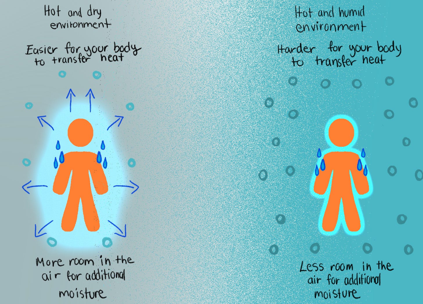 An illustration comparing evaporative cooling in Hot and dry environment vs Hot and humid environment. The text reads:  -Hot and dry environment: Easier for your body to transfer heat. More room in the air for additional moisture.   -Hot and humid environment: Harder for your body to transfer heat. Less room in the air for additional moisture.