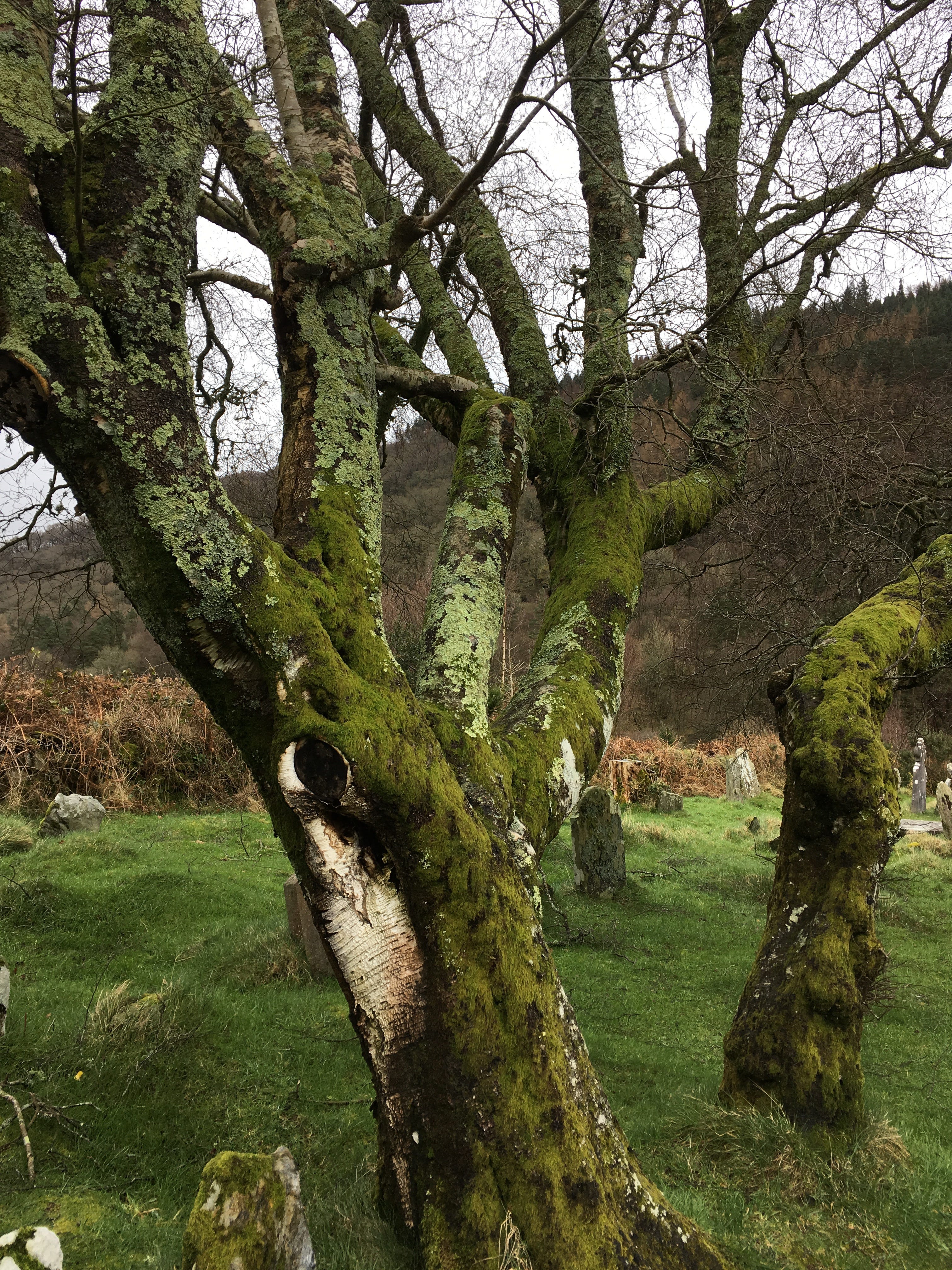 Monastic Ruins, image size:3024x4032