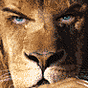 iLion's avatar