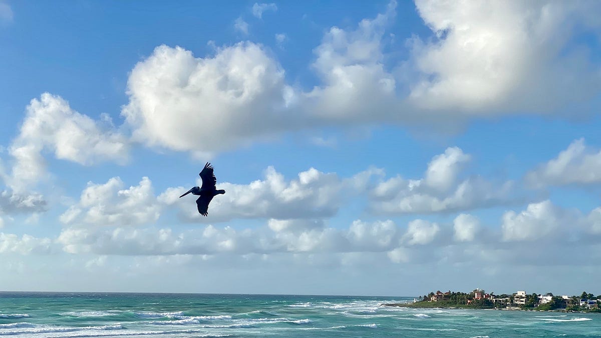 🌀🗞 The FLUX Review, Ep. 33 - by The FLUX Collective