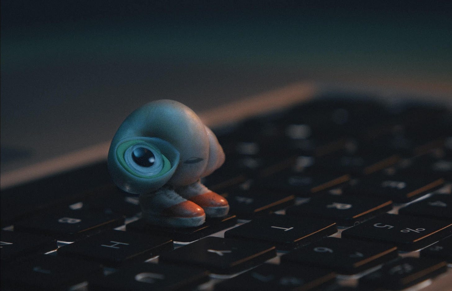 Marcel the Shell with Shoes On Is a Poignant Summertime Surprise | Vanity  Fair