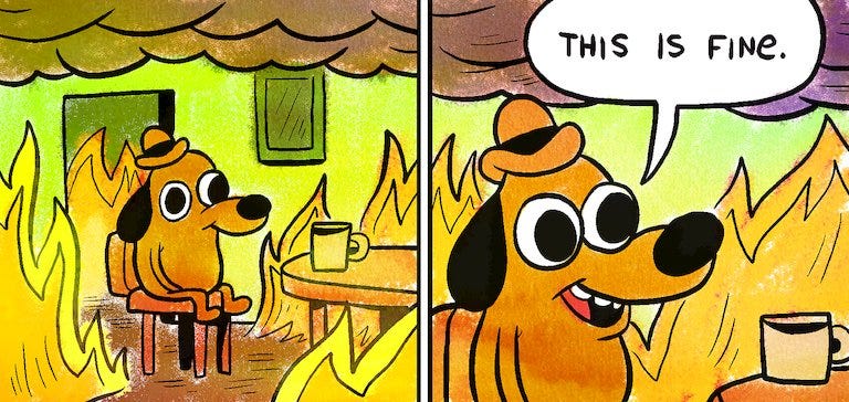 Why ‘This Is Fine’ Is the Meme This Year Deserves - The ...
