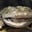 Hellbender's avatar