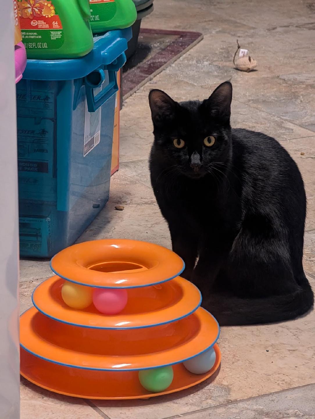 A black cat sitting next to a stack of plastic toys

AI-generated content may be incorrect.