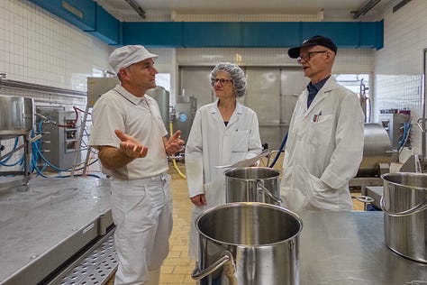 Eine Bildergalerie aus der Versuchskäserei von Agroscope zeigt verschiedene Schritte der Käseherstellung: Mitarbeitende in weissen Kitteln und Hauben im Gespräch, das Einfüllen von Flüssigkeiten in grosse Edelstahltanks, das Bearbeiten der Milch mit Käseharfen, das Prüfen der Bruchmasse von Hand sowie das Abfüllen der Käsemasse in Formen. Weitere Fotos zeigen Käselaibe in Regalen und eine Mitarbeiterin, die Produktionsdaten auf einem Blatt Papier kontrolliert. Die Galerie vermittelt einen umfassenden Einblick in den handwerklichen und wissenschaftlichen Prozess der Käseherstellung.