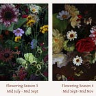 Week 2 : The Flower Seasons 