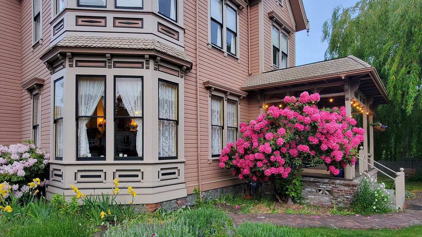 The exterior of the Adams Pragge House, a Victorian home, with a large pink rhododendron bush in bloom beside it.
