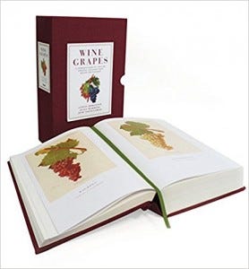 Wine Grapes: A Complete Guide
